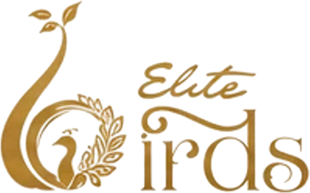 Elite Birds